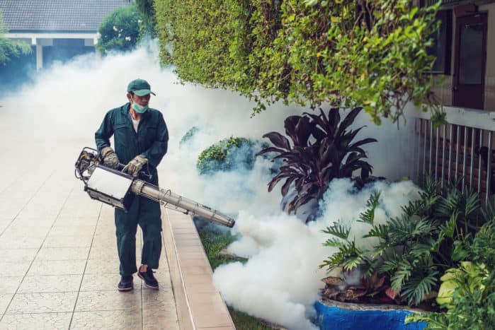 zamgławianie gazu w komarach dengi
