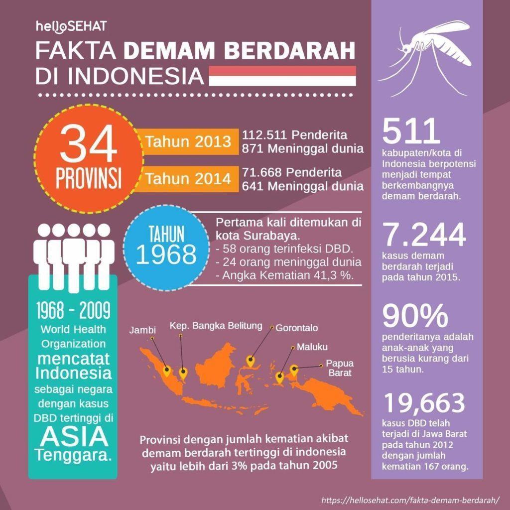 denga gorączka hellosehat w Indonezji
