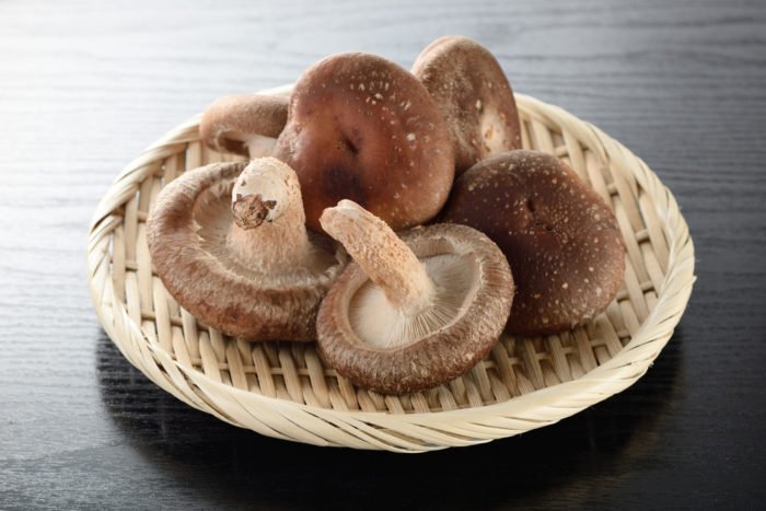 Korzyści z grzybów shitake
