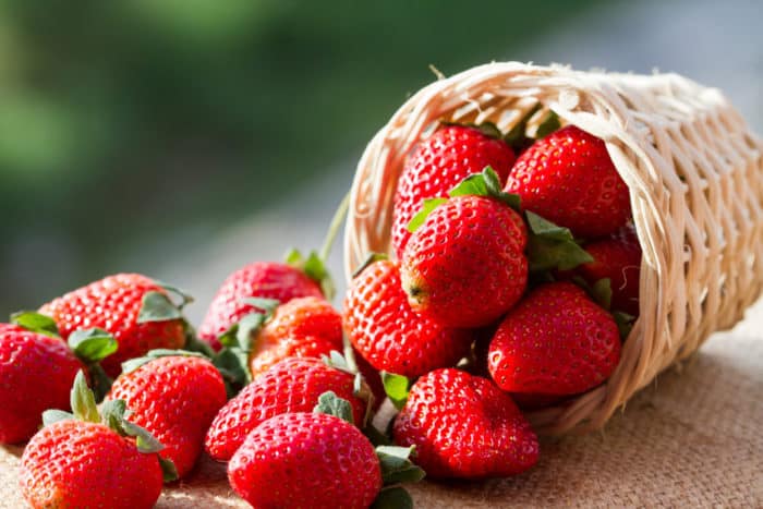 korzyści z owoców truskawki