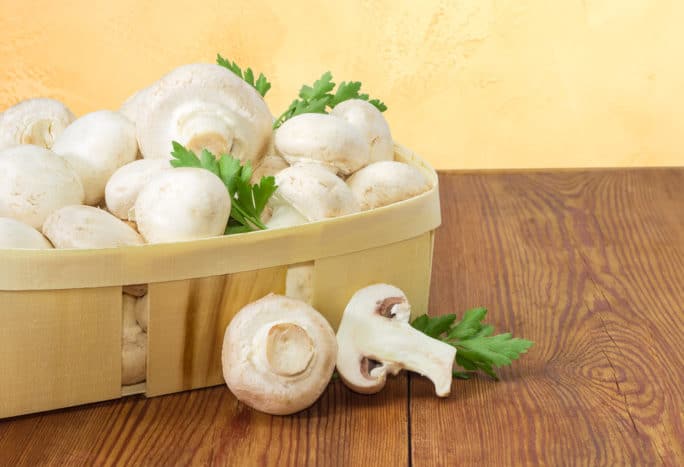 korzyści grzybów i ich zagrożenia dla zdrowia